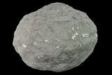 Keokuk Quartz Geode with Calcite & Pyrite Crystals - Missouri #144764-1